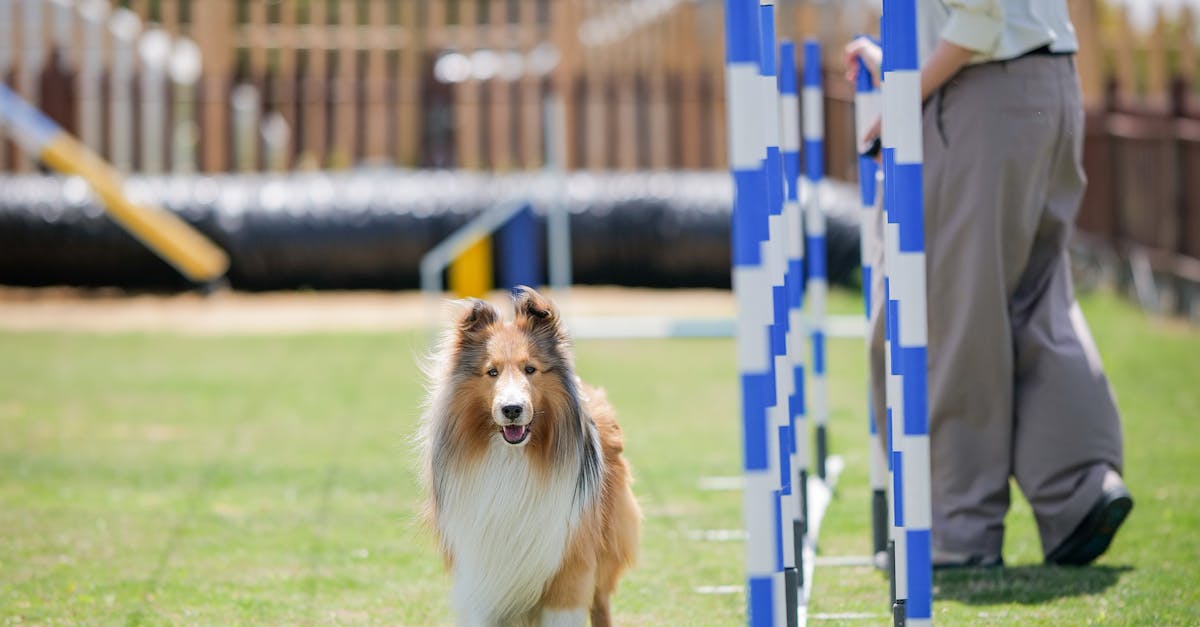 7 Different Formats for Project Management Workshops You Should Consider