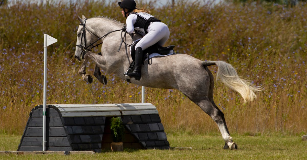 7 tips for succeeding in your Scrum Master Certification