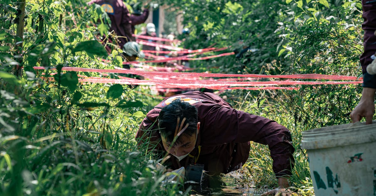 How to Choose the Best Free Online Project Management Course