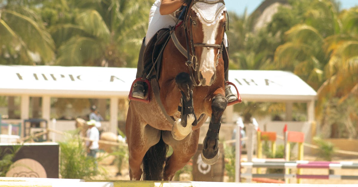 Review of Key Learning Outcomes from Leading Project Management Workshops