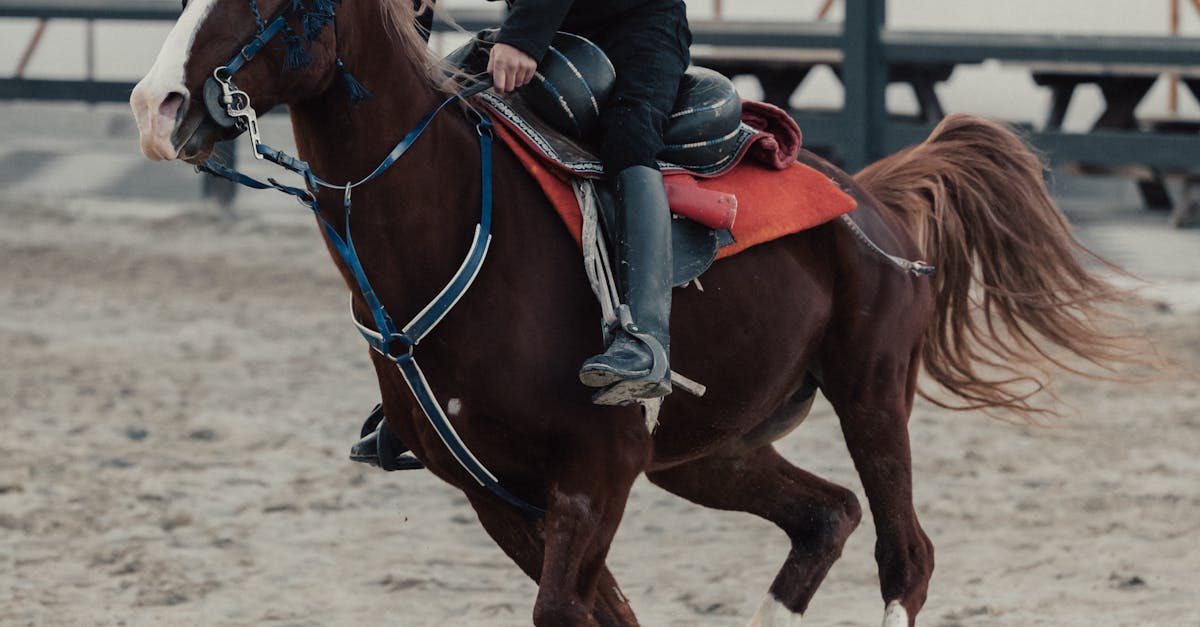 Roundup of Scrum Master Certification success stories