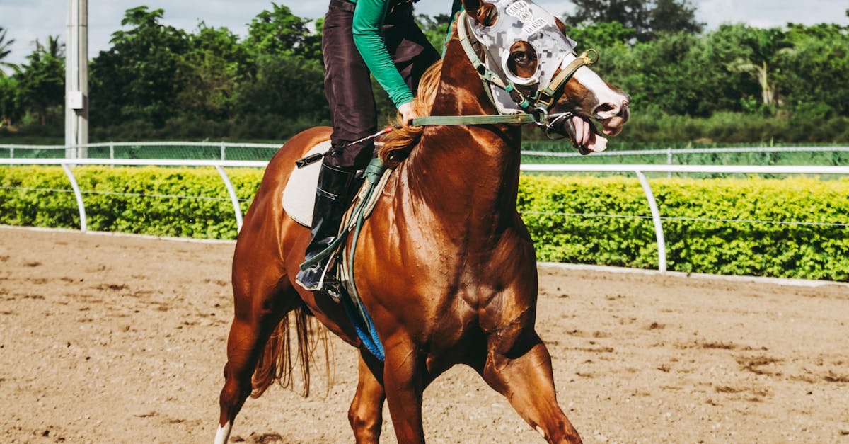 Roundup of the Best CAPM Certification Training Resources