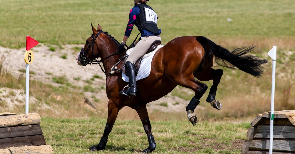 The History of Online Paid Project Management Courses