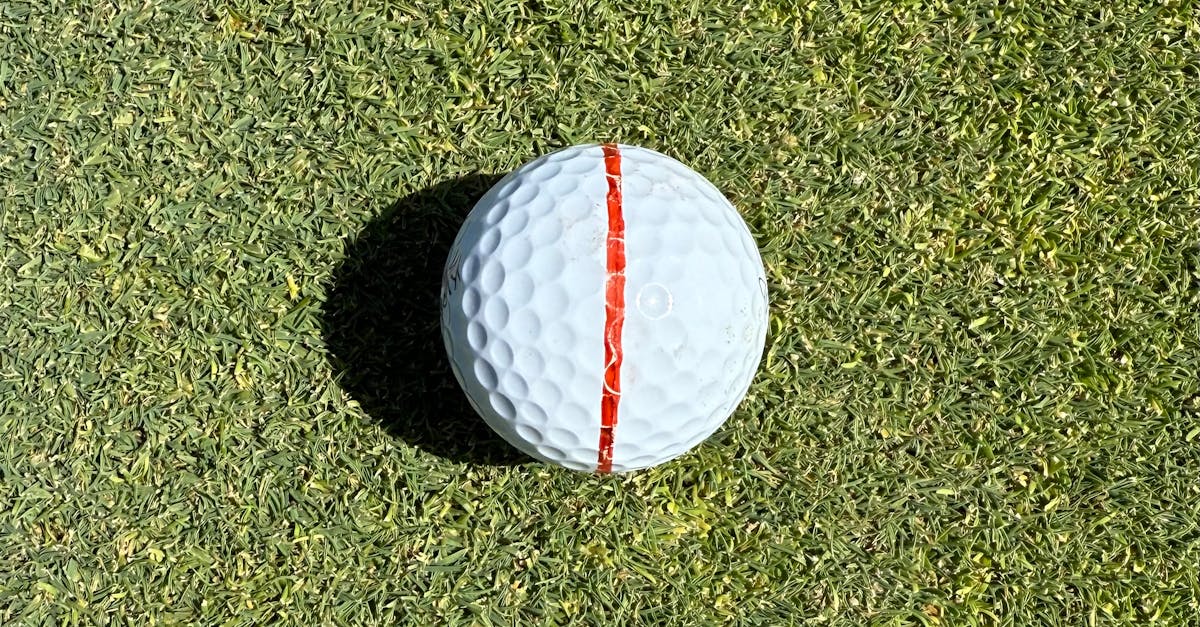 What Networking Opportunities Are Available in Project Management Workshops