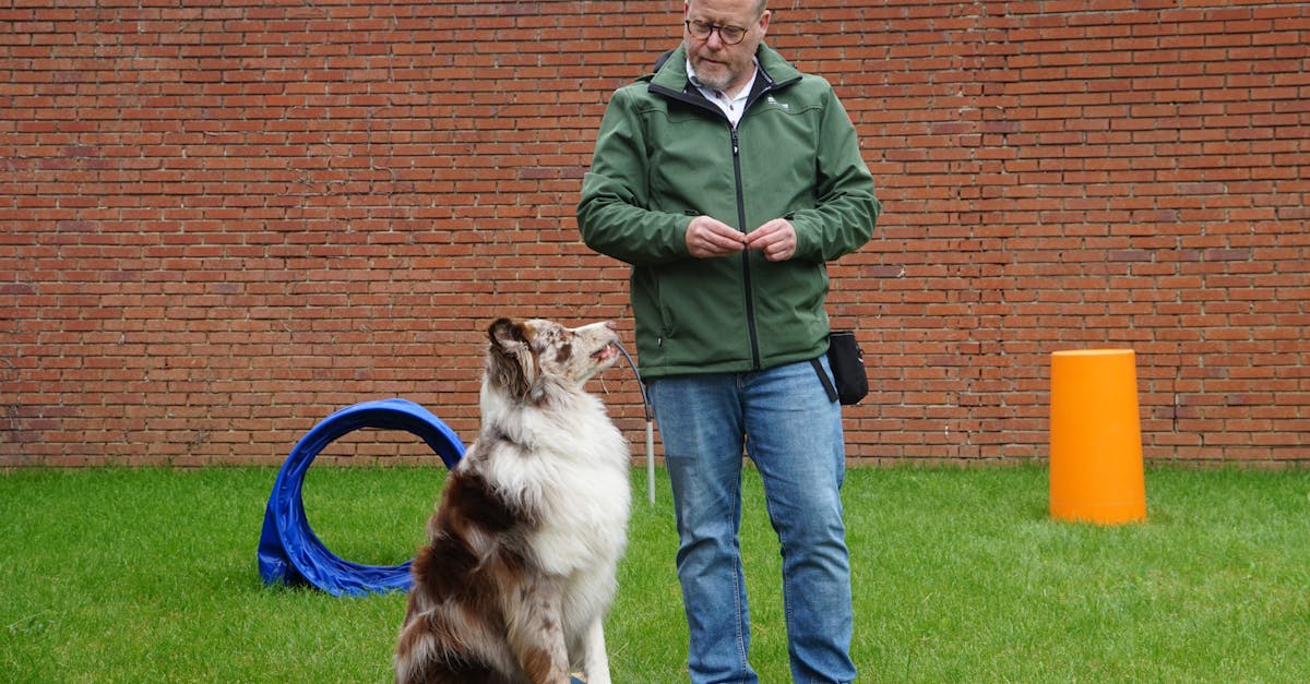 Why Networking is Essential for Success in Project Management